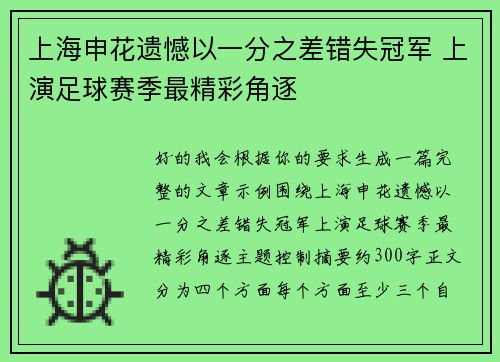 上海申花遗憾以一分之差错失冠军 上演足球赛季最精彩角逐