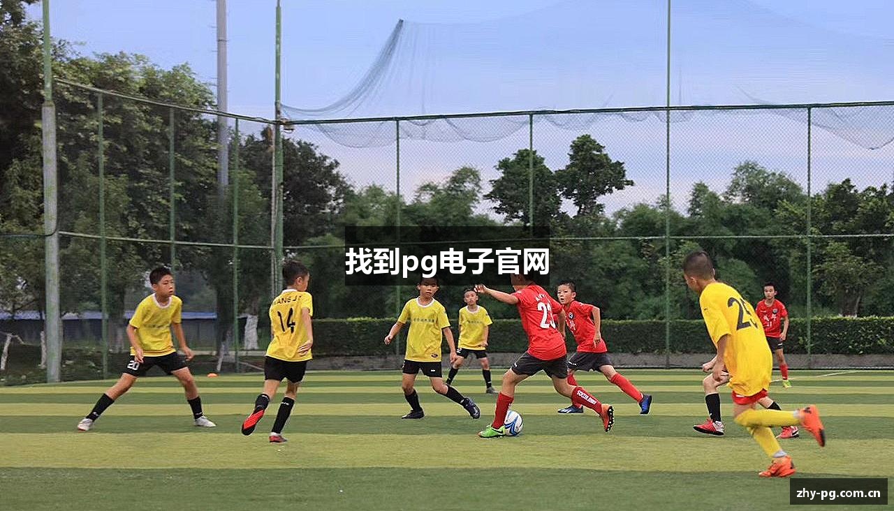 找到pg电子官网